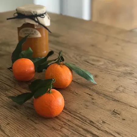 Les De Mila Hotel Bonifacio (Corsica)