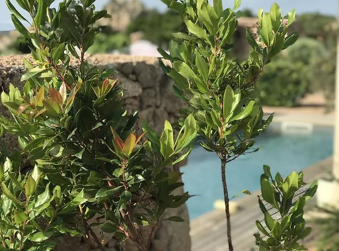 Les De Mila 4* Bonifacio (Corsica)