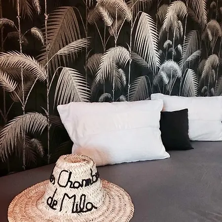 Les De Mila 4*
