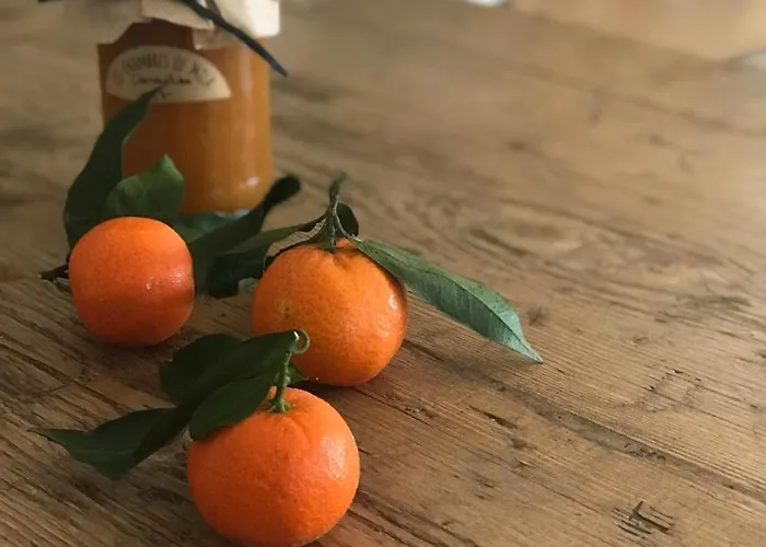 Les De Mila Hotel Bonifacio (Corsica)